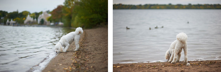 wpid-family_photo_shoot_lake_harriet_minneapolis_09-2013-10-10-12-40.jpg