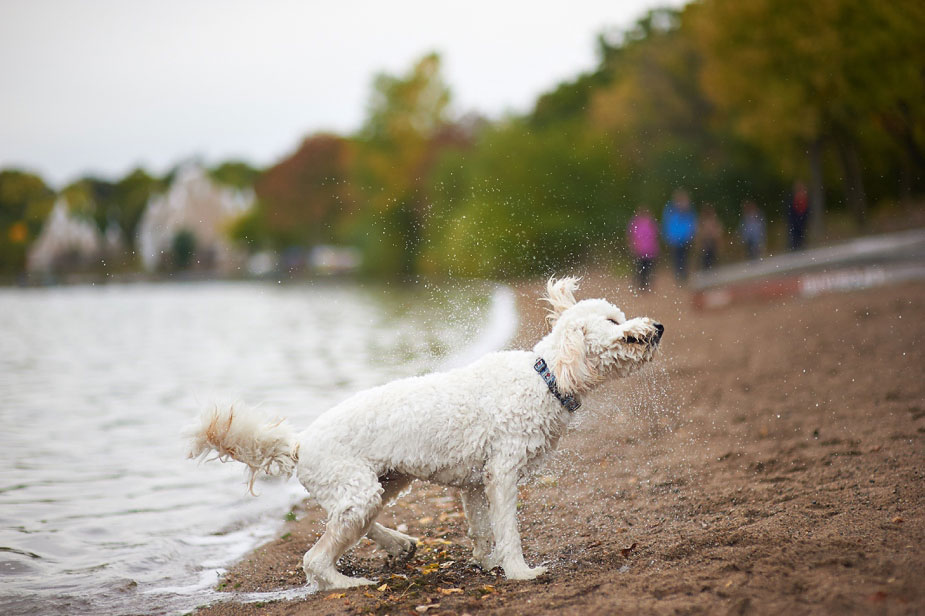 wpid-family_photo_shoot_lake_harriet_minneapolis_11-2013-10-10-12-40.jpg