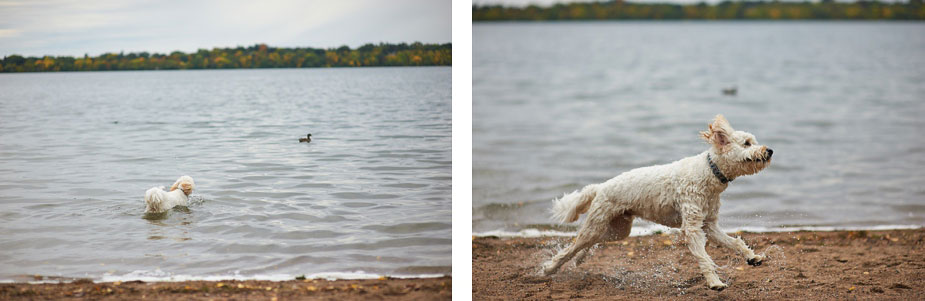 wpid-family_photo_shoot_lake_harriet_minneapolis_12-2013-10-10-12-40.jpg