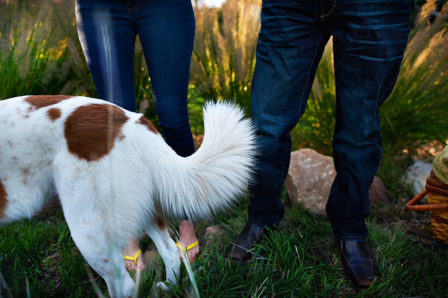 Boulder Engagement Photos,