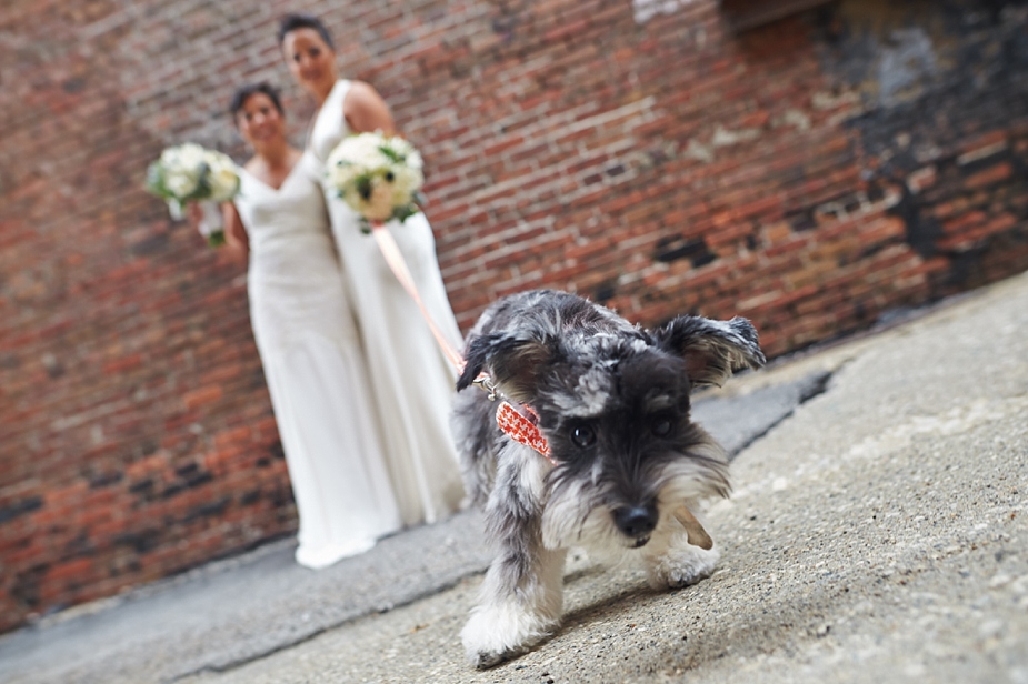 wpid-stacy_kelsey_breezeway_des_moine_wedding_photography_017-2014-08-14-00-20.jpg