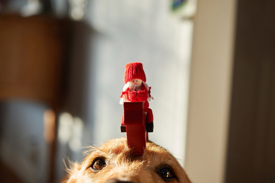 wpid-tomte_2014_003-2014-12-22-18-54.jpg