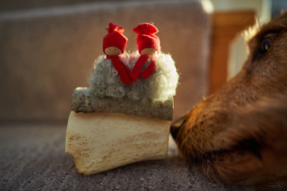 wpid-tomte_2014_010-2014-12-22-18-54.jpg