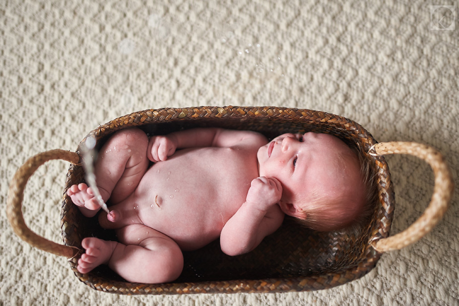 wpid-viggo_newborn_photographer_oahu_hawaii_009-2014-12-5-12-00.jpg