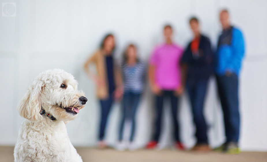 wpid-family_photo_shoot_lake_harriet_minneapolis_01-2015-09-1-21-00.jpg