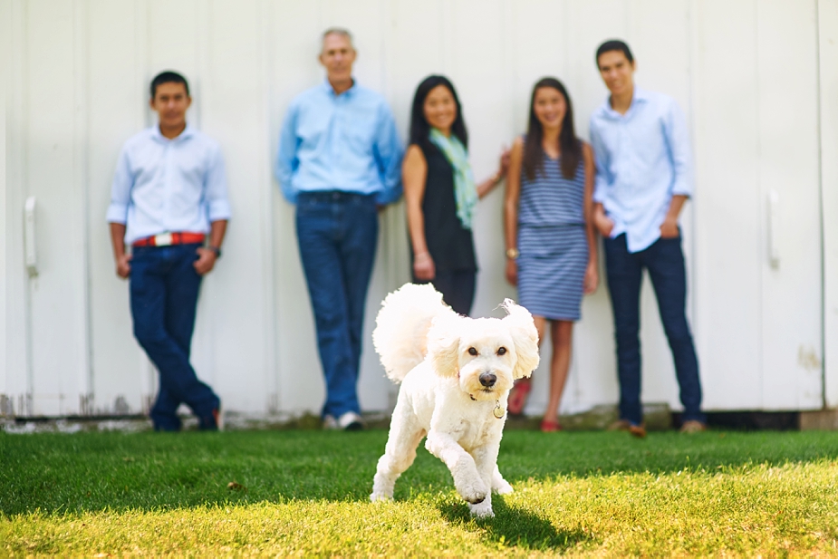 wpid-toby-family-portraits_001-2015-09-1-21-00.jpg