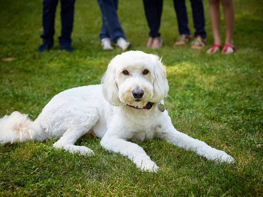 wpid-toby-family-portraits_008-2015-09-1-21-00.jpg