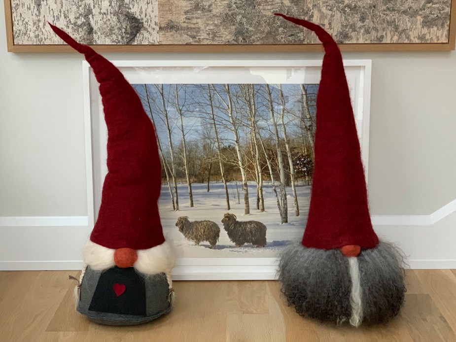 tomte-year-8-kern-photo-13-2018-12-23-06-31.jpg