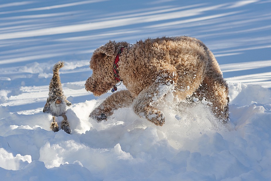 tomte-023-2021-12-24-20-24.jpg